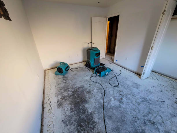 Best Water damage restoration near me  in Eustace, TX