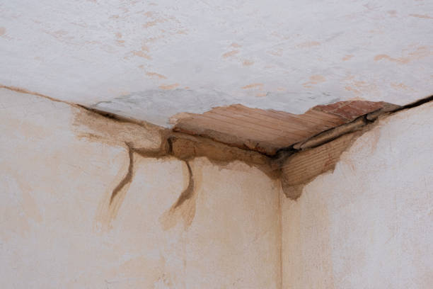 Best Local water damage restoration  in Eustace, TX
