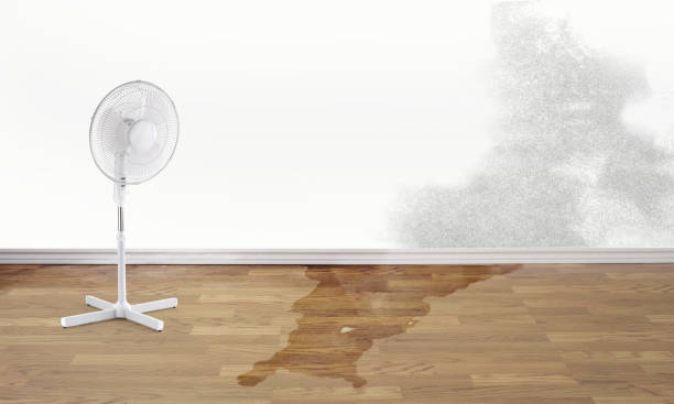 Best Fire Damage Restoration  in Eustace, TX