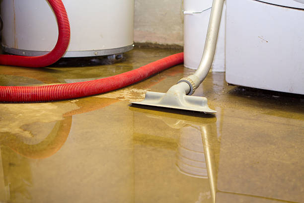 Reliable Eustace, TX Water damage restoration Solutions
