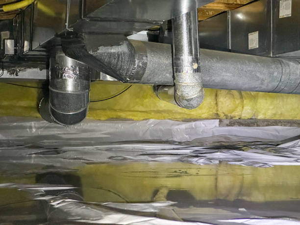 Best Water damage restoration near me  in Eustace, TX