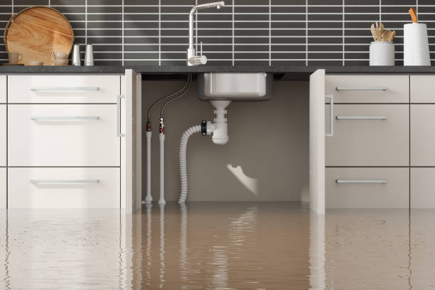 Best Flood restoration services  in Eustace, TX