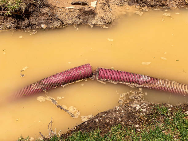 Best Residential water damage restoration  in Eustace, TX