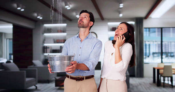 Best Water damage cleanup near me  in Eustace, TX