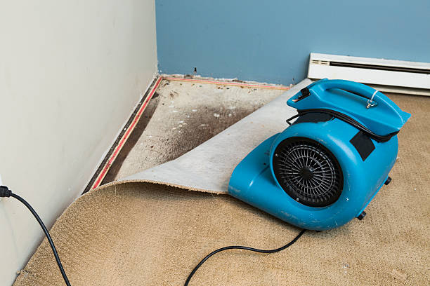 Best Ceiling water damage repair  in Eustace, TX